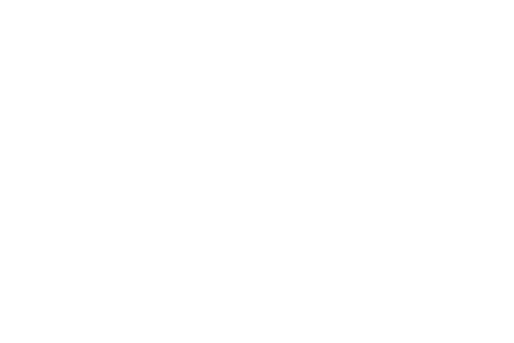SCOCCA PAPILLON