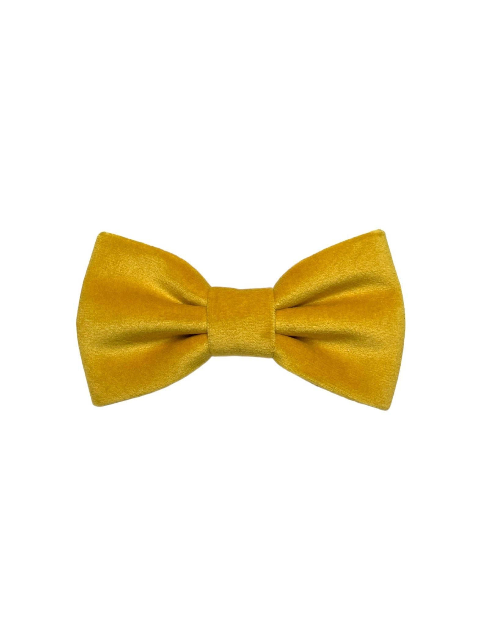 Papillon in velluto verde, giallo, marrone,accessori per sposo,matrimonio inverno 2025,idea regalo di natale uomo,per lui,autunno armocromia