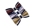 Noeud papillon élégant pour homme, noeud papillon pour cérémonie, noeud papillon rayé, idée cadeau pour lui, inspiration mariage 2025, accessoires pour le marié