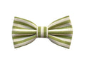 Noeud papillon rayé pour homme, vert sauge, bleu, beige, moutarde, coton, noeud papillon pour mariage été 2024, idée cadeau pour témoins de mariage