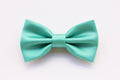 Nœud papillon vert menthe pour homme, nœud papillon pour marié, témoins de mariage, nœud papillon pour mariage printemps été 2024, vert Tiffany pour mariés