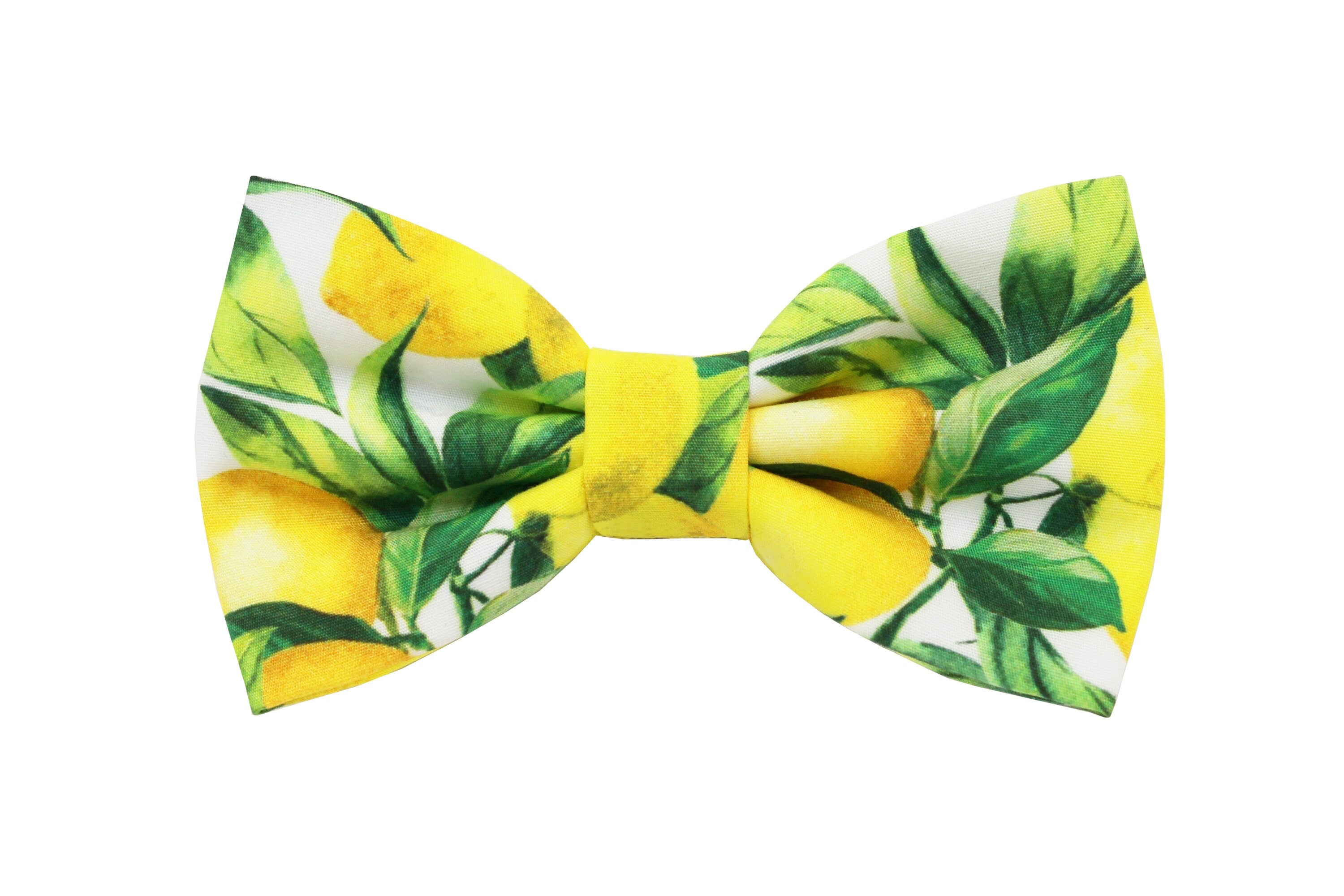 Papillon e fazzoletto con stampa limoni, Papillon e pochette per uomo,matrimonio estate 2025,matrimonio a tema siciliano,matrimonio Sorrento