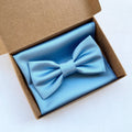 Noeud papillon et pochette bleu poudré, homme élégant, cérémonie du marié, cadeau pour lui, noeud papillon en papier sucre, témoin mariage 2024